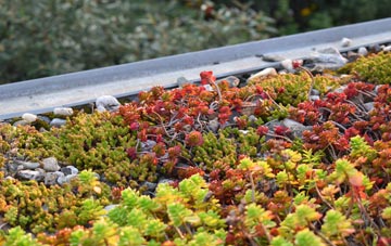 the cost of Polpenwith green roof installation