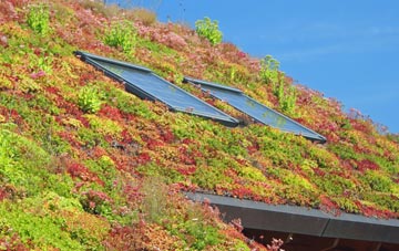 Polpenwith living roof systems