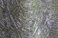 Polpenwith fibreglass roof work